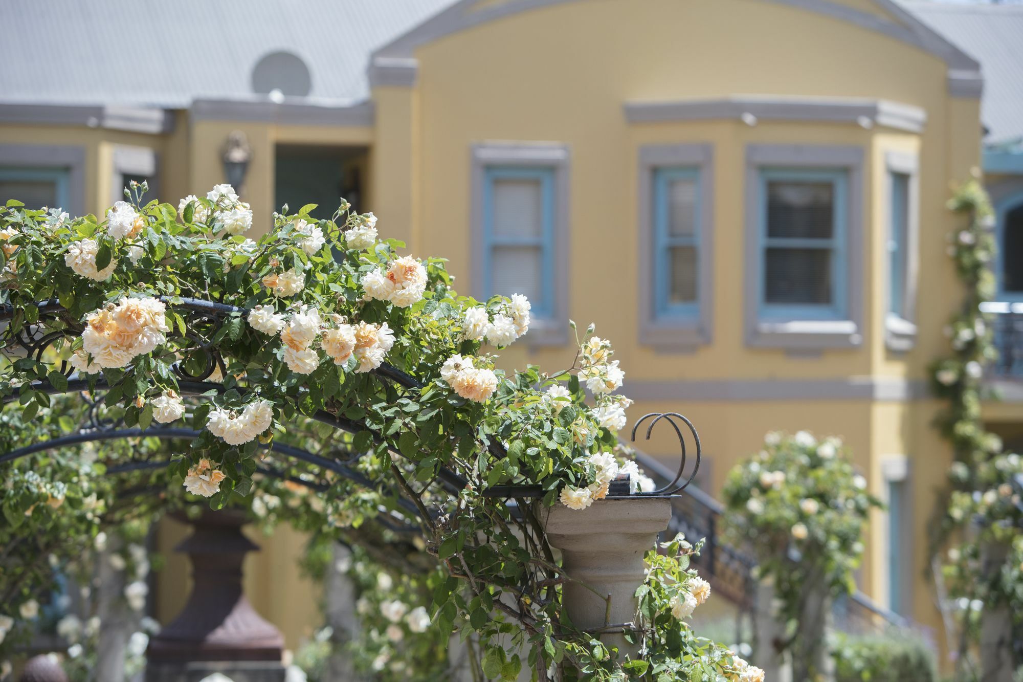 Franschhoek Country House & Villas Eksteriør bilde