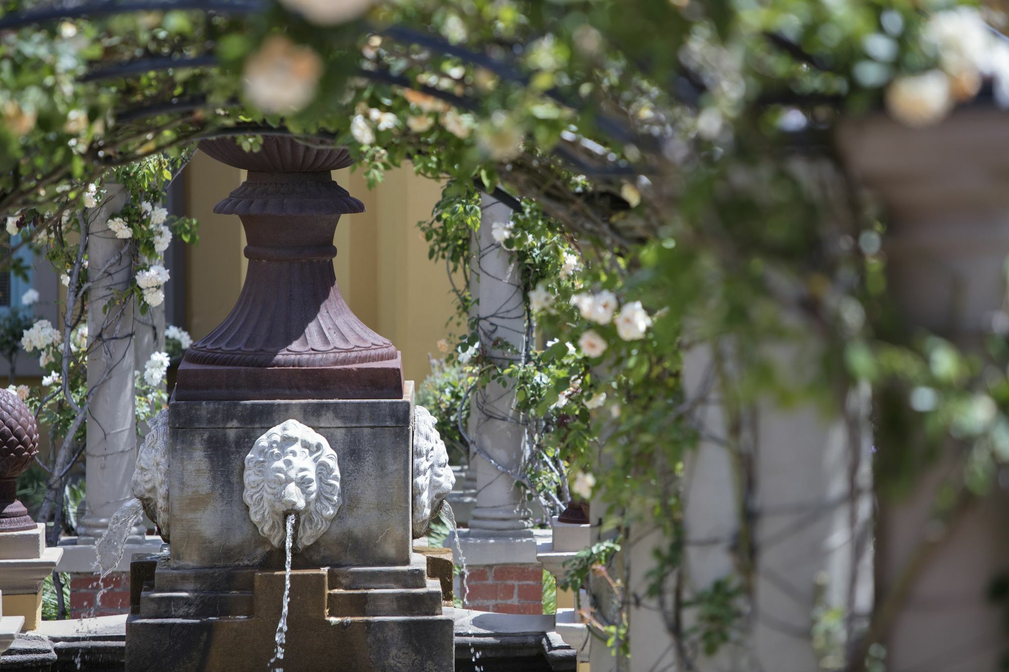 Franschhoek Country House & Villas Eksteriør bilde